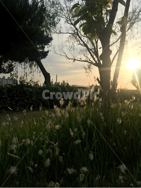 선유도,공원,해질녙,풍경,park,seonyudopark,sunset,자연,풍경,nature,landscape,light,빛,flare,플레어