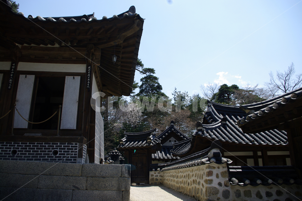 전통가옥,한옥,한국,건축,기와지붕,전통,한국전통,한국문화,korean traditional,korean culture,건축물,건물외관,exterior,building,structure,architecture,construction