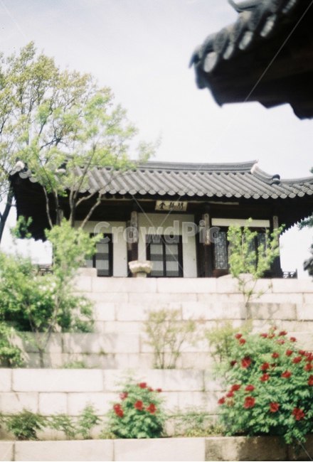 한옥,전통기와,기와집,한국전통,기와,창덕궁,한국전통,한국문화,korean traditional,korean culture,건축물,건물외관,exterior,building,structure,architecture,construction