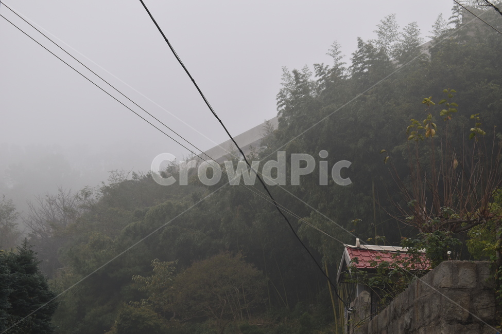 하늘,안개,날씨,자연,구름,음침한,을씨년스러운,outdoors,weather,자연,풍경,nature,landscape