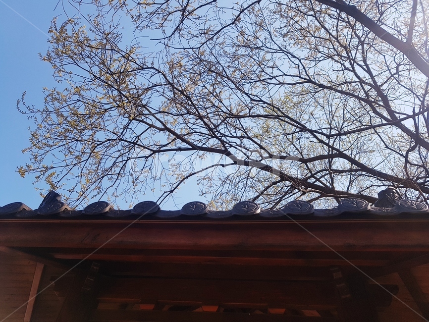 정자,육각정,쉼,의자,휴식,햇살,따뜻함,봄,바람,시원함,그늘,공원,아파트,산책로,조형물,도심속,나무,건축물,건물외관,exterior,building,structure,architecture,construction