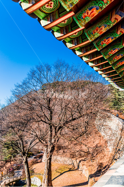 산성,단청,문화유산,성곽,전통,한국의미,한국전통,한국문화,korean traditional,korean culture,식물,자연,plants,nature,나무,trees,wood,건축물,건물외관,exterior,building,structure,architecture,construction