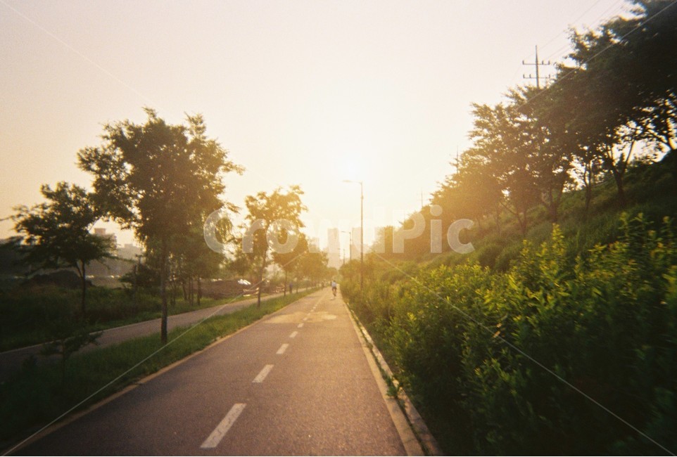 노을,나무,자전거길,sunset,풀,감성사진,필름카메라,도시,풍경,city,landscape,한국도시풍경,한국도시경관,korea cityscape,휴식,힐링,rest,relaxation,healing,road,도로,asphalt,아스팔트,highway,고속도로,freeway,고속 도로