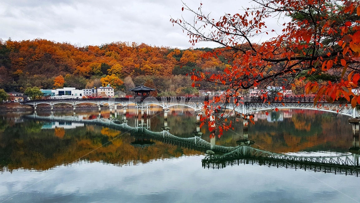 water,물,plant,식물,tree,나무,nature,자연,옥외,outdoors,안동,안동월영교,월영교,경상북도,경북,한국,구름낀,날씨흐림,단풍,maple,단풍나무,color,colorful,reflection,lake,bridge,longbridge,autumn,fall,korea,sightseeing,landscape,cloudy,정자,countryside,beautiful,calm,고요한