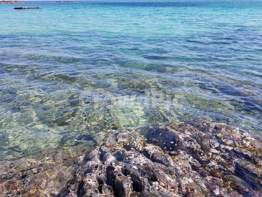 바다,해변,동해,대마도,바다색,일본
