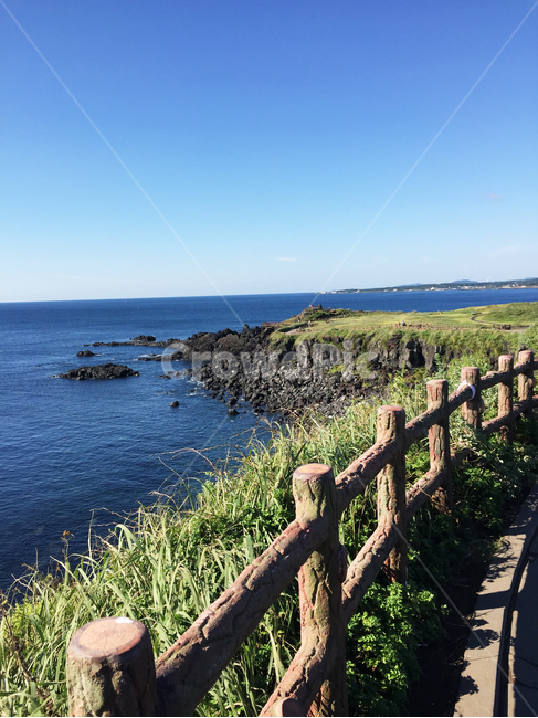 제주도,울타리,식물,바다,섭지코지,청명한,풀,자연,풍경,nature,landscape,한국자연풍경,한국자연경관,korea nature landscape,제주도,jeju,jeju island,promontory,곶,handrail,난간,banister,railing