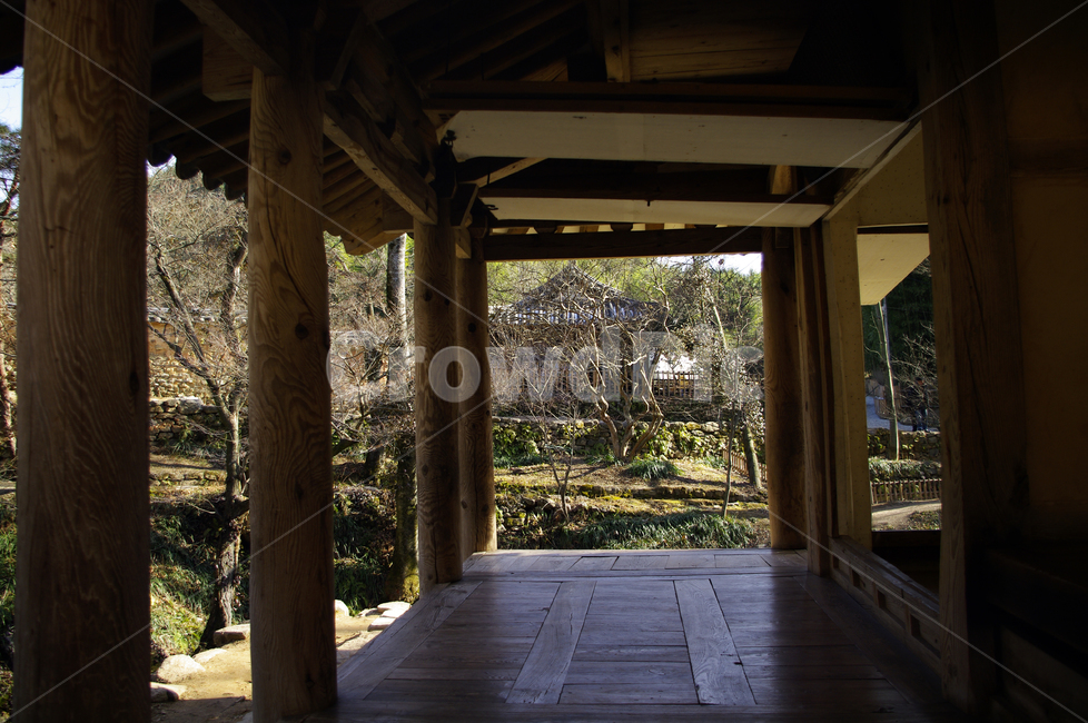 나무,한옥,풍경,전통,한국,한국전통,한국문화,korean traditional,korean culture,건축물,건물외관,exterior,building,structure,architecture,construction