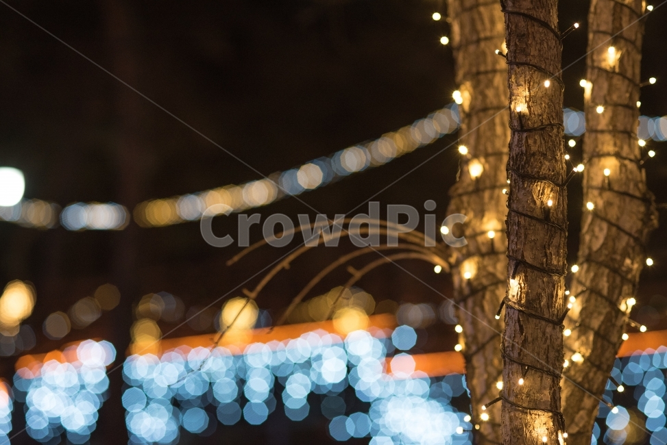 보케,불빛축제,led전구,led불빛,led나무,감성사진,배경사진,보케사진,야경,야경,밤,풍경,nightscape,night,landscape,water,물