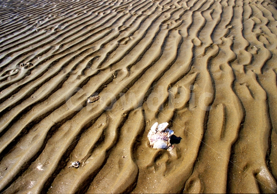 바닷가,모래밭,백사장,흔적,패턴,해안,해수욕장,서해안,sns,sand,seaside,ebook,pattern,texture,바다,여름,파문,바탕,백그라운드,시안,디자인,콘텐츠,텍스쳐,모바일,웹,전단,마케팅,라인,background,텍스타일,자연,무늬,추상,형상,굴곡,색감,컨셉,컨셉트,콘셉,콘셉트,개념,생각,감성,느낌,필,feel,분위기,네추럴,natural,summer,자연,풍경,nature,landscape,해변,바다,beach,sea,텍스처,질감,패턴,texture,pattern,모래,outdoors,옥외,soil,흙