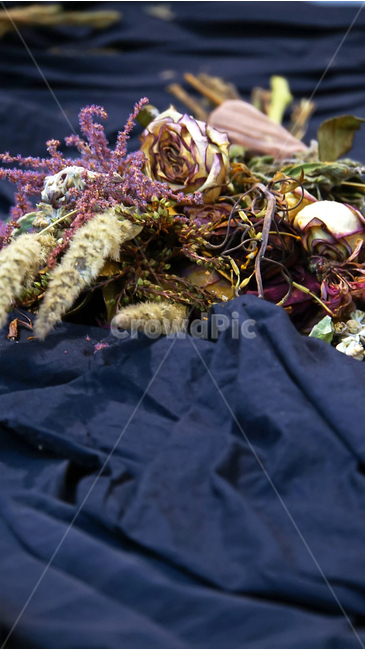 seoul,cafe,dryflower,decoration,color,table,interior,navy,hall,까페,서울리즘,인테리어,장식,드라이플라워,꽃,색감,꽃,flower