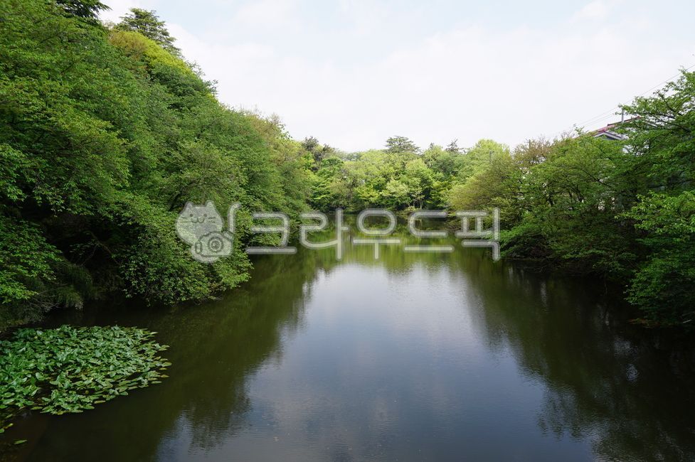 개천, 물, 도랑, 나무, 하늘, 사진,이미지,일러스트,캘리그라피 - 행운가득작가