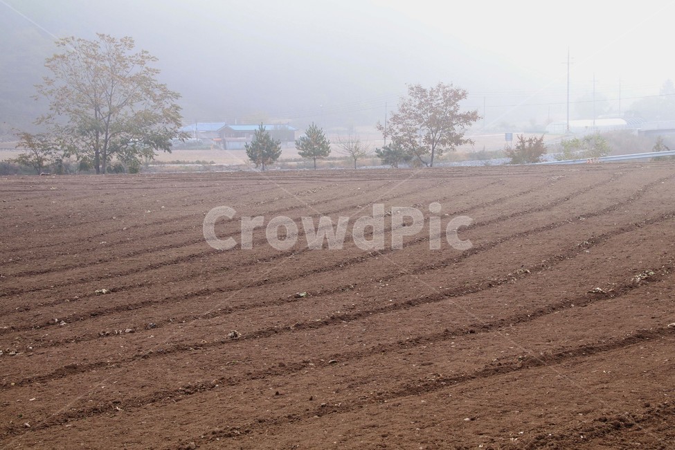 시골,산골,가을풍경,촌집,자연풍경,시골,마을,풍경,landscape,country,rural,town