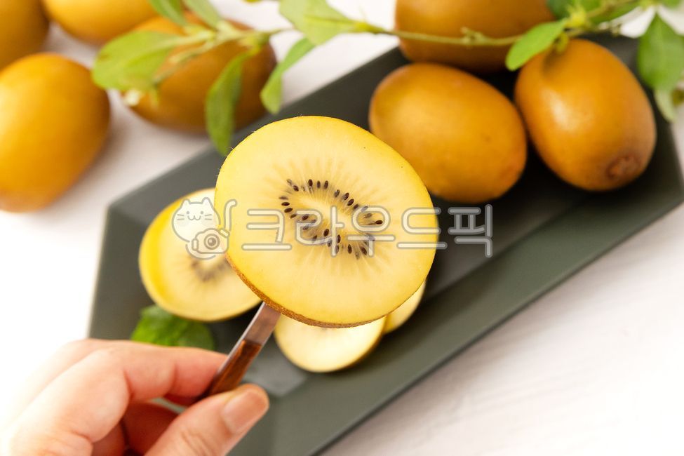 골드키위,키위,과일,건강음식,절단면,열대과일,후식,클로즈업,유기농,금색,신선,신선한,노랑색,식재료,요리,열매,제철과일,여름과일,달콤한,food,cook,fruit