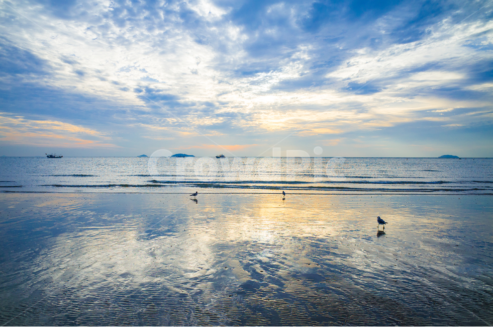바다,자연,일몰,풍경,해변,landscape,sea,cloud,sunset,beach,자연,풍경,nature,landscape,해변,바다,beach,sea,동물,animal,조류,새,birds,outdoors,옥외,water,물,ocean,대양