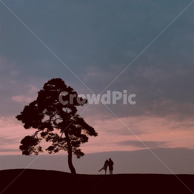 나무,노을,연인,커플,하늘,나홀로나무,사람,인물,인간,human,person,연인,커플,사랑,lover,couple,인물실루엣,사람실루엣,character silhouette,human silhouette,tree,plant,식물