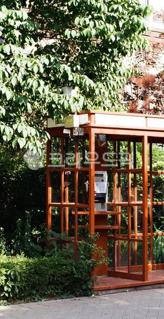 leaf of grass,in the woods,Payphone,public phone box,tree