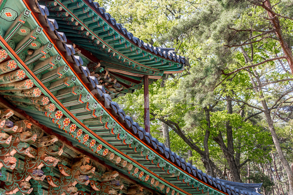 기와,단청,처마,전통,한국의미,한국전통,한국문화,korean traditional,korean culture,건축물,건물외관,exterior,building,structure,architecture,construction