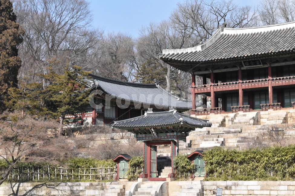 한옥,서울,창덕궁,대한민국,문화유산,후원,기와,Korea,wooden,Koreanstylehouse,한국전통,한국문화,korean traditional,korean culture,랜드마크,landmark,tourist attraction,한국랜드마크,한국관광지,한국명소,korea landmark,korea tourist attraction,건축물,건물외관,exterior,building,structure,architecture,construction