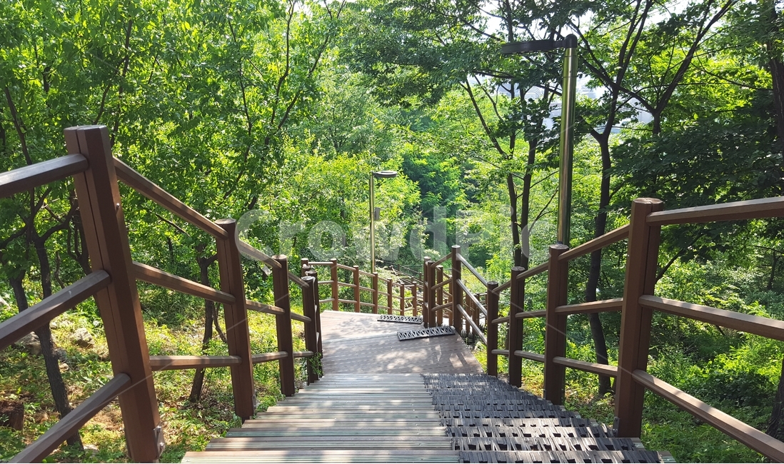 공원,계단,산,숲,여름,감성,감성사진,풍경,풍경사진,산책,일상,park,stair,mountain,forest,summer,walking,daily,자연,풍경,nature,landscape,garden,정원,outdoors,옥외,arbour,정자