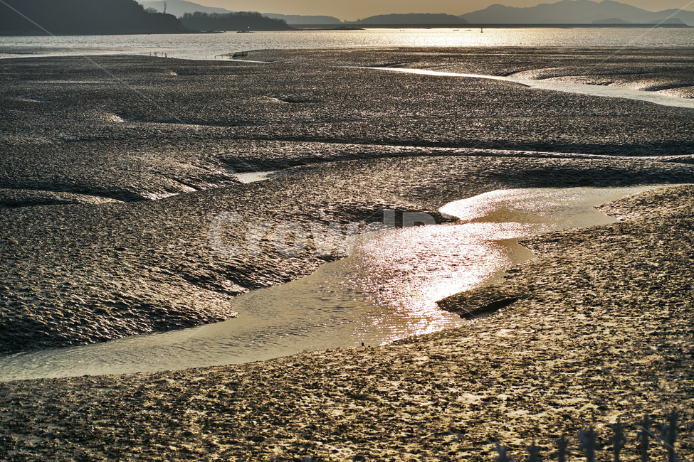 영종도,정서진,서해,갯벌,갯골,바다,썰물,뻘,인천
