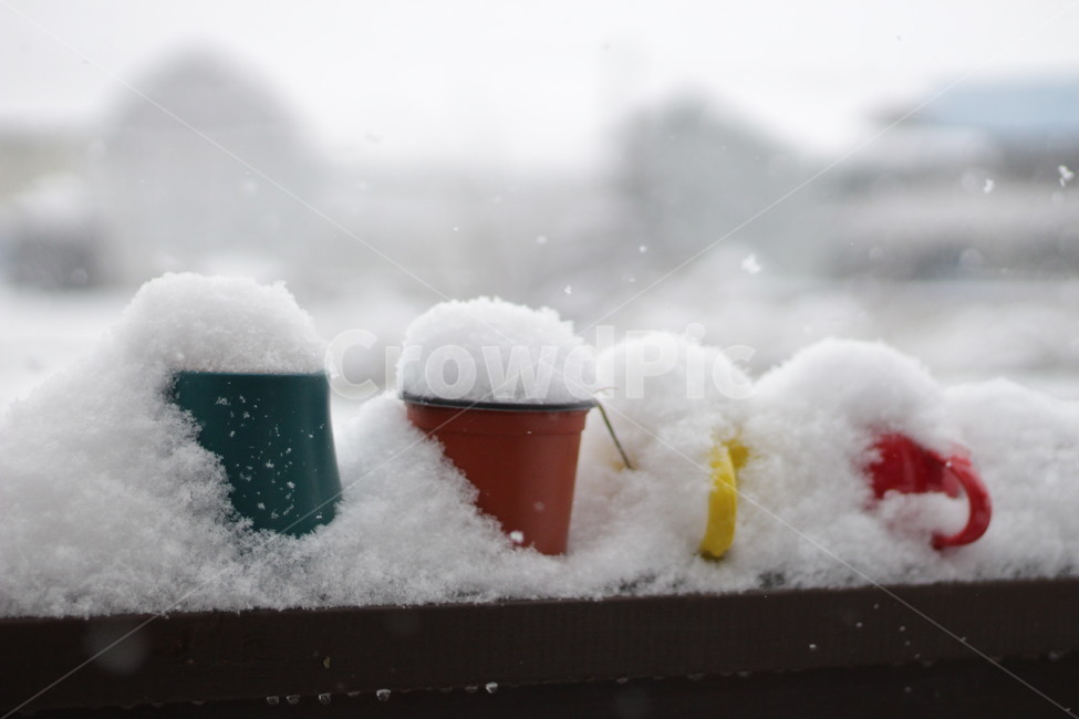 nature,눈,자연,snow,첫눈,함박눈,겨울,겨울,계절,winter,season