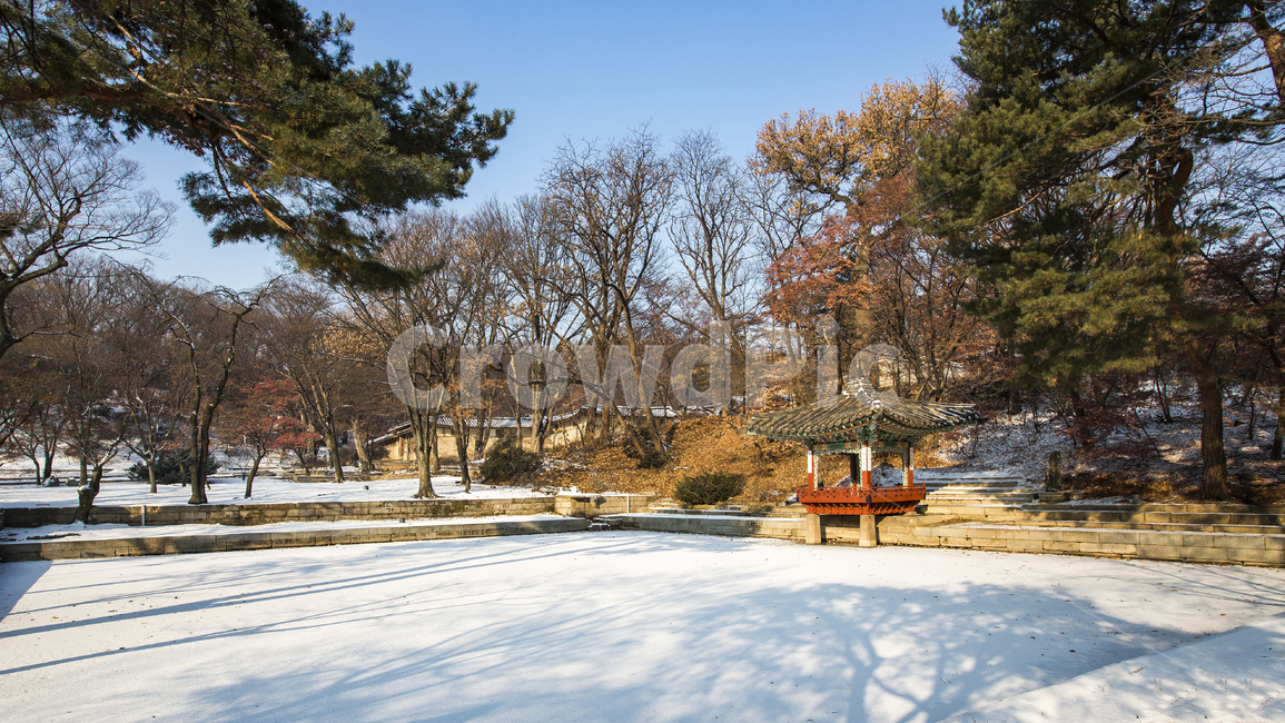 고궁,역사,서울,창덕궁,비원,조선,겨울,계절,winter,season,랜드마크,landmark,tourist attraction,한국랜드마크,한국관광지,한국명소,korea landmark,korea tourist attraction