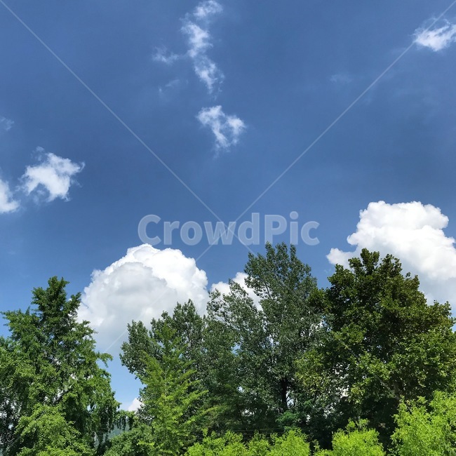 하늘,구름,화창함,풍경,맑은하늘,자연,빛,해,자연,풍경,nature,landscape,outdoors,옥외,weather,날씨,azure sky,푸른 하늘,sky,cloud,cumulus,적운