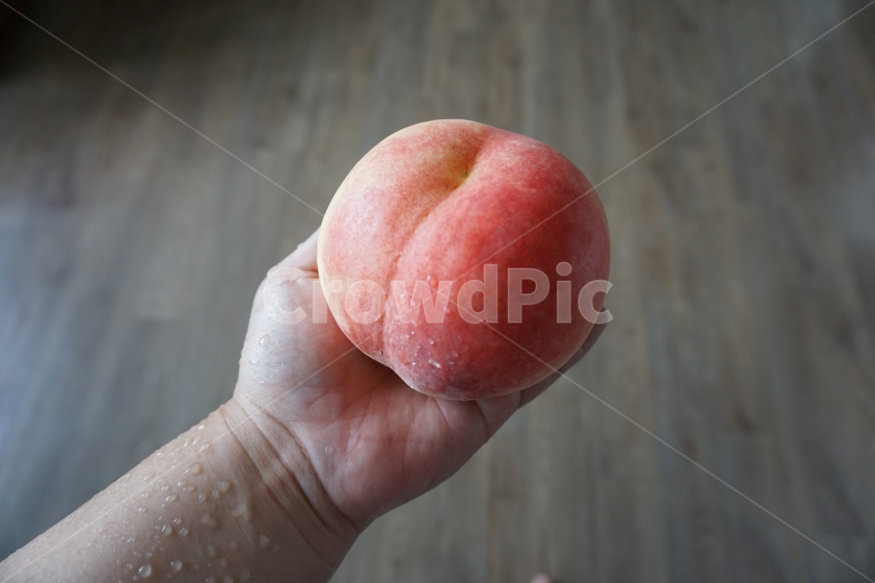 과일,복숭아,여름,대청마루,시골,비타민,음식,식재료,요리,food,cook,meal,dishes,food reserves,과일,열매,fruit
