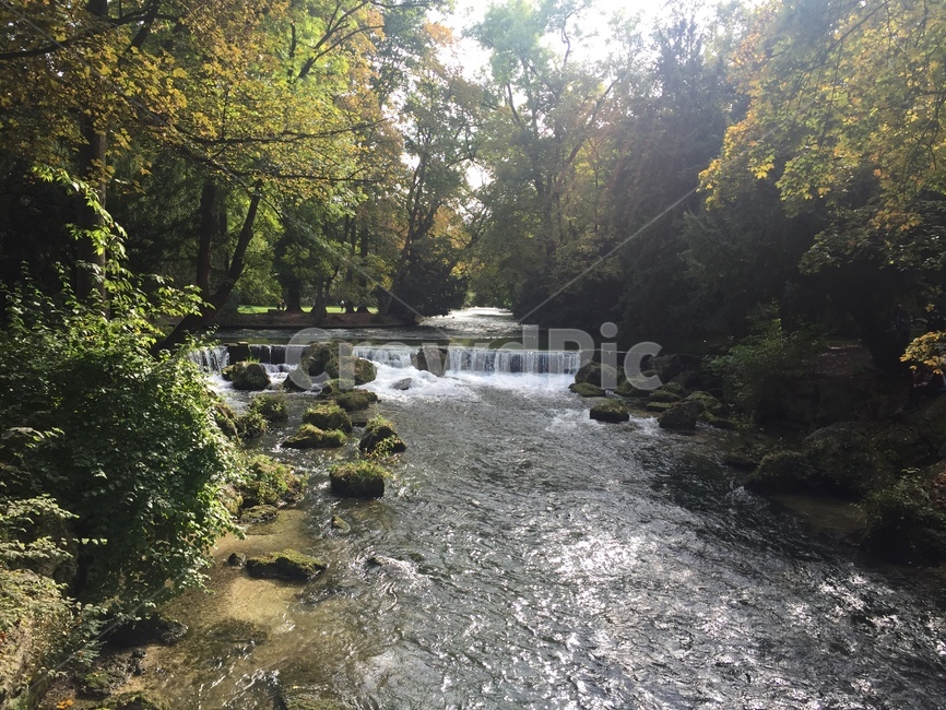독일,독일공원,독일잉글랜드파크,잉글랜드파크,강가,공원,자연,나무,시냇물,germany,germanenglandpark,englandpark,river,park,garden,tree,nature,europe