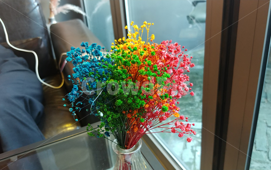꽃,안개꽃,형형색색의,알록달록한,색깔,색,다양한,조합,조화,조화로운,선명한,flower,드라이플라워,노랑,파랑,초록,핑크,데코,장식,실내인테리어,인테리어,화병,interiordesign,plants,색감,컬러,color,꽃,flower,인테리어,실내디자인,interior design