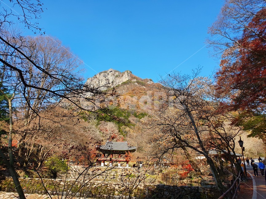 장성백양사,백양사,가을,단풍,가을풍경,한국자연풍경,한국자연경관,korea nature landscape