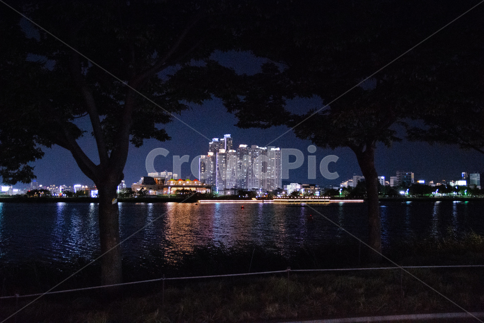 수성못,대구,밤,나무,야경,야경,밤,풍경,nightscape,night,landscape,도시,city