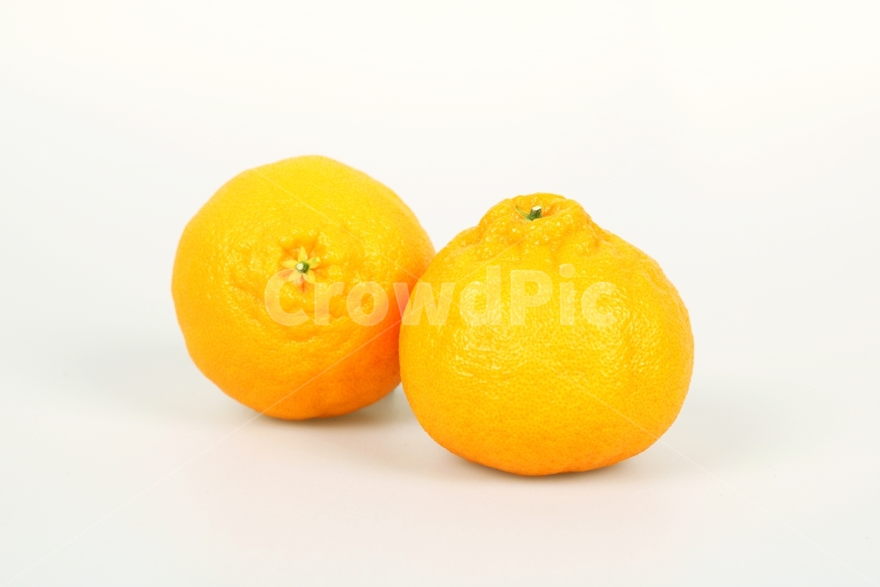 한라봉,오렌지,과일,생과일,음식,디저트,웰빙,식물,열매,다이어트,컨셉,콘셉,다울,음식,식재료,요리,food,cook,meal,dishes,food reserves,과일,열매,fruit,누끼,remove background