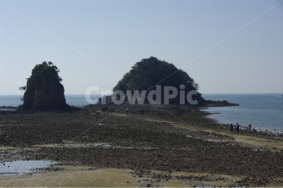 할매할아비,쌍둥이,서해,꽃지,간조,썰물,바위,자연,풍경,nature,landscape,한국자연풍경,한국자연경관,korea nature landscape,land,땅,outdoors,옥외,shoreline,해안선,water,물,sea,바다,ocean,대양,coast,연안,promontory,곶