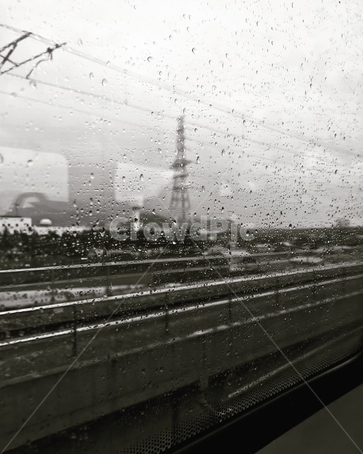 비,rain,빗방울,raindrop,흑백,비,비오는날,rain,rainy,흑백,모노톤,monochrome,black and white