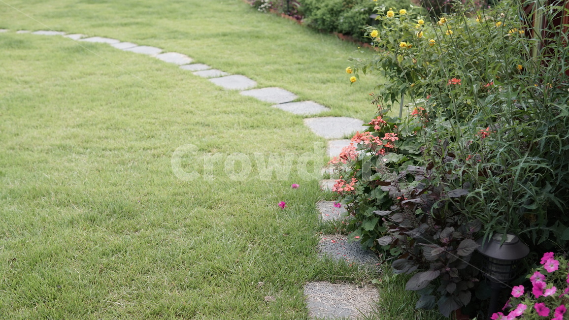 정원,잔디,식물,꽃,덤불,자연,풍경,nature,landscape,grass,plant,flagstone,판석