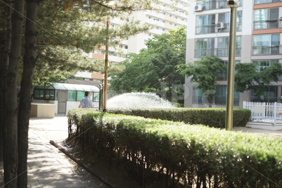 사람,인물,물,일상,식물,물주기,여름,수분,나무,거리,아파트,더위,가뭄,사람,인물,인간,human,person