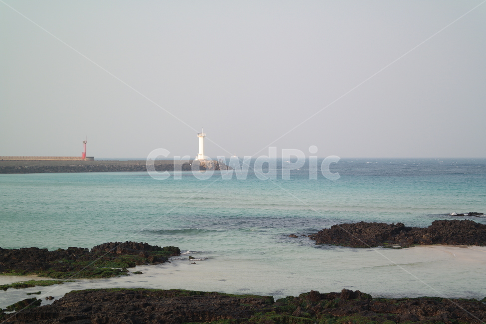 제주,세화,바다,해변,제주도