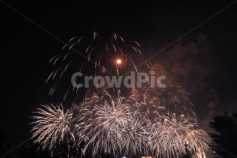 불꽃,불꽃놀이,불꽃축제,야경,한강불꽃축제,야경,밤,풍경,nightscape,night,landscape,축제,행사,festival,carnival,event,nature,자연,outdoors,옥외
