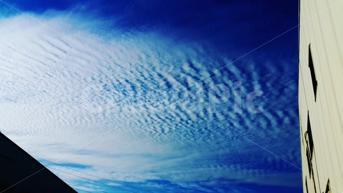하늘,구름,파란하늘,하늘아래,구름과하늘,자연,풍경,nature,landscape,outdoors,옥외,sky,azure sky,푸른 하늘