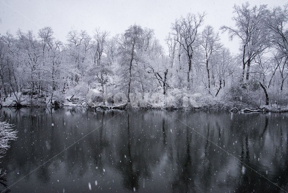 nature,자연,ice,빙,outdoors,옥외,호수,뉴욕,미국,숲,겨울,central,park,snow,frost,newyork,usa,lake,winter,겨울,계절,winter,season