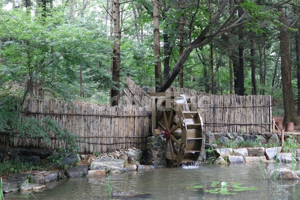 물레방아,물,자연,식물,나무,초록,water,nature,plants,tree,green,mizu,shokubutsu,ki,midori,인천대공원,자연,풍경,nature,landscape,machine,기계