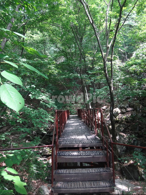 산속,등산로,산책로,숲속,계단,숲길,자연,풍경,nature,landscape,garden,정원,outdoors,옥외,arbour,정자