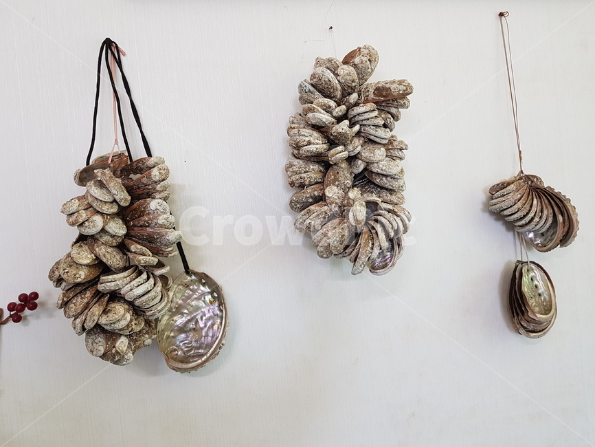 굴,굴껍데기,굴껍질,걸이,벽,바다느낌,해산물,인테리어,실내디자인,interior design