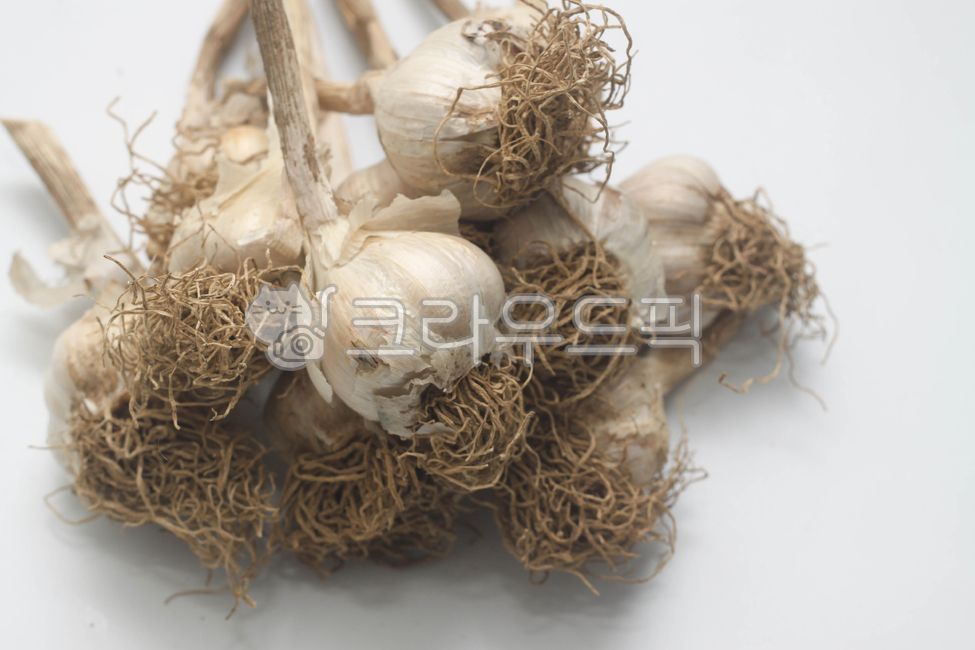 garlic,Anticancer effect,ingredient,ingredients,health food