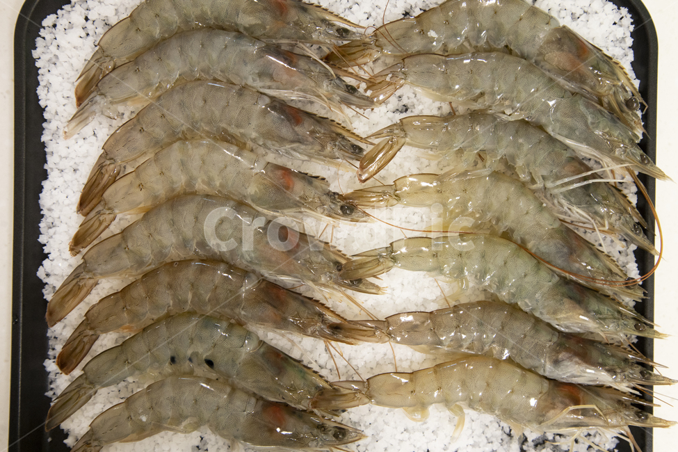 새우,음식,수산물,해산물,머리,꼬리,수염,갑각류,소금,정렬,맛있는,신선,절지동물,생물,껍질,생활,음식,식재료,요리,food,cook,meal,dishes,food reserves