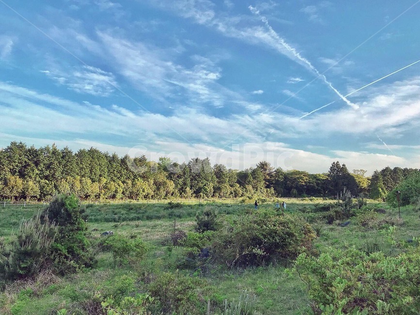 아부오름,오름,제주,제주도,자연,봄,초록색,자연,풍경,nature,landscape,outdoors,옥외,grassland,목초지,field,들