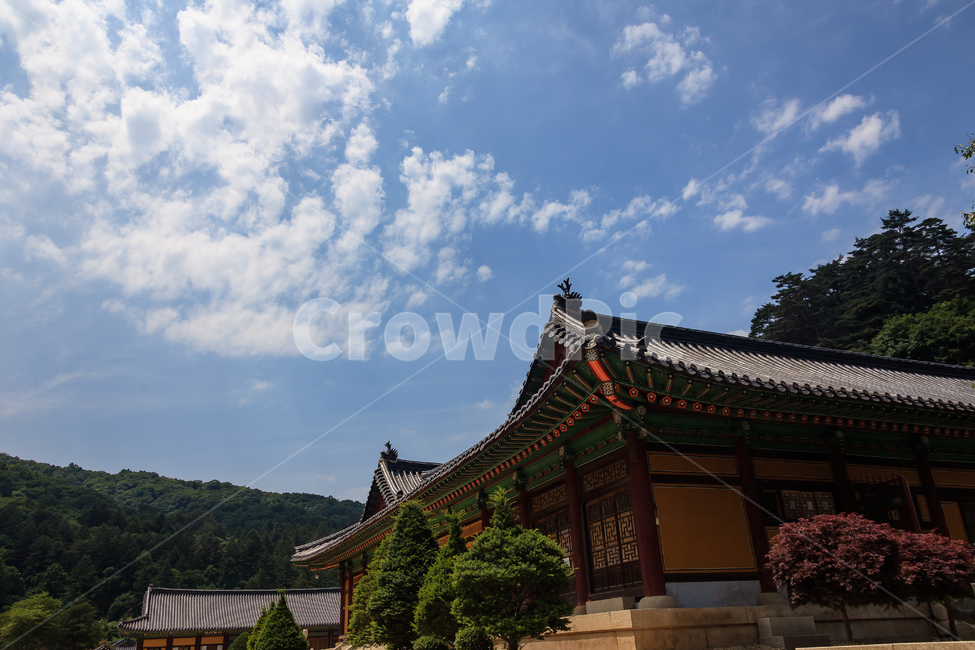 월정사,불교,절,오대산,종교,하늘,한국전통,한국문화,korean traditional,korean culture,종교,신앙,religion,belief,faith,건축물,건물외관,exterior,building,structure,architecture,construction