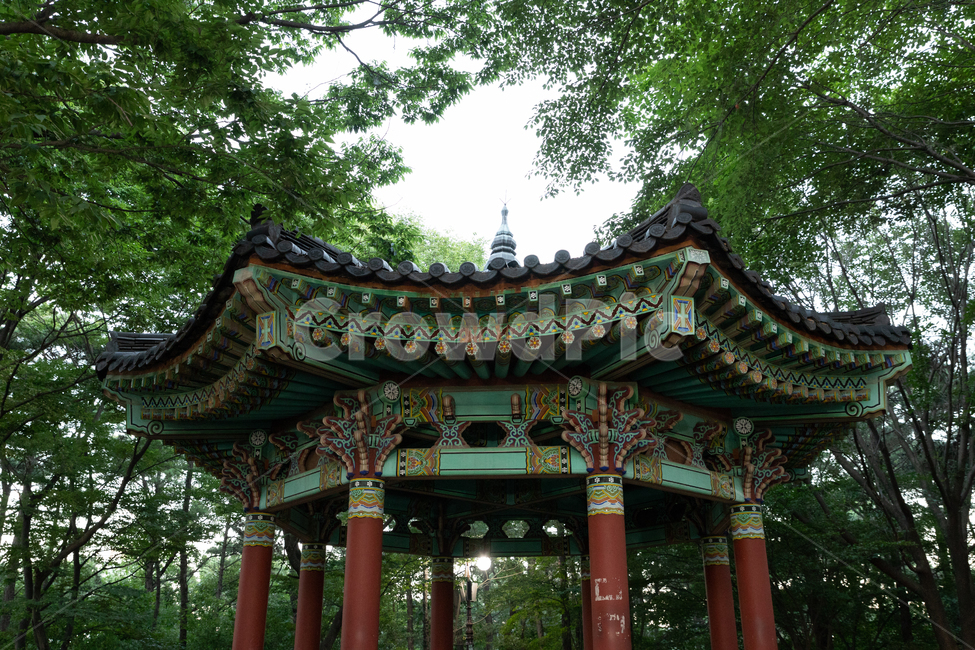 팔각정,숲,나무,하늘,건물,한국전통,한국문화,korean traditional,korean culture,건축물,건물외관,exterior,building,structure,architecture,construction