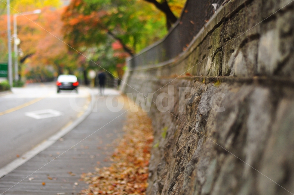 가을,워커힐,길,돌담,낙엽,돌,autumn,walkerhill,road,street,path,stone,brick,rock,wall,fallenleaves,season,가을,계절,fall,autumn,season,car,차,transportation,교통,vehicle,차량,automobile,자동차,asphalt,아스팔트